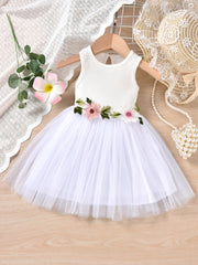Baby Girls Casual Floral Embroidery Mesh Sleeveless Dress