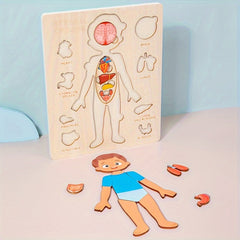 Wooden Human Body Puzzle Toy Educational Gift for Kids