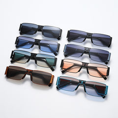 Small Frame Square Sunglasses Black