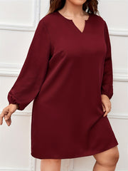 Solid Lantern Sleeve Notched Neck Dress