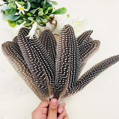 20pcs Natural Turkey Feather Craft Decoration Clothing Hats Home Party