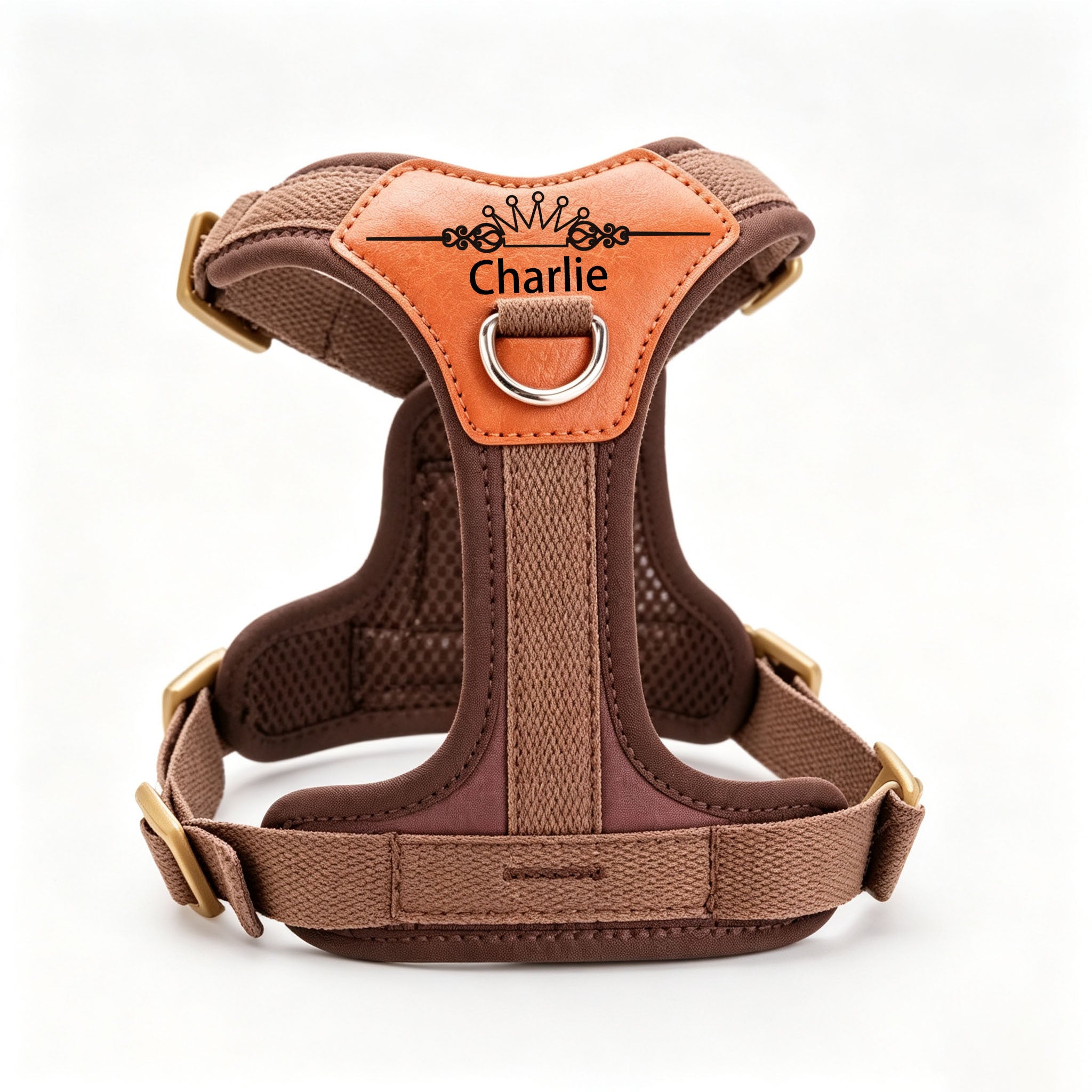 img_5202914