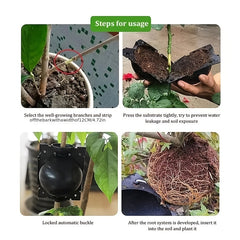 Plant Rooting Tools Garden Gardening High Pressure Propagation Boxes