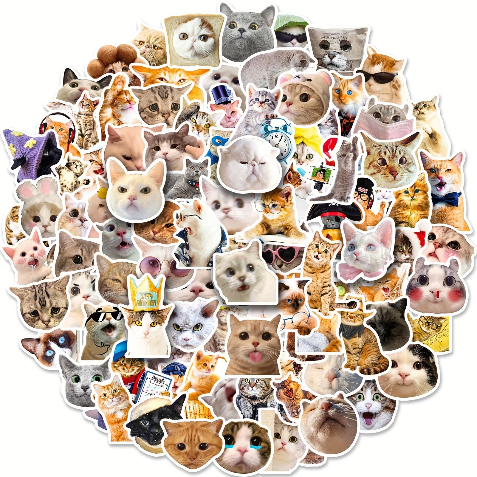 100pcs Realistic Cat Mixed Stickers for Water Cup Computer Mobile Phone Decor