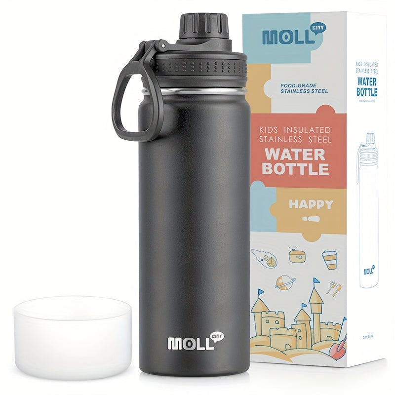 22oz Leakproof Insulated Water Bottle