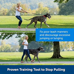 Dog Head Halter Training Tool for Comfortable Control