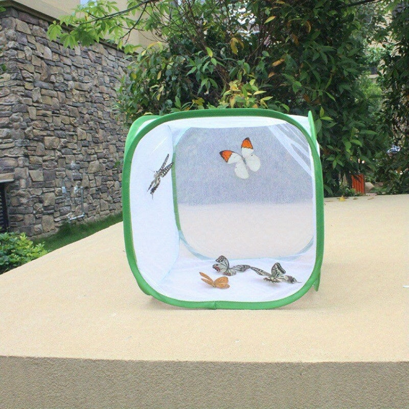 Pop Up Net Insect Cage For Butterflies Moths Stick Insects Caterpillars