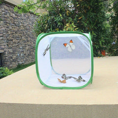 Pop Up Net Insect Cage For Butterflies Moths Stick Insects Caterpillars