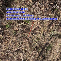 10pcs Natural Rattan Vine Poultry Trap Wreath Rings for Effective Trapping