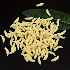 20pcs Simulation Maggot Fishing Lures 0.79in Soft Worm Bait Tackle
