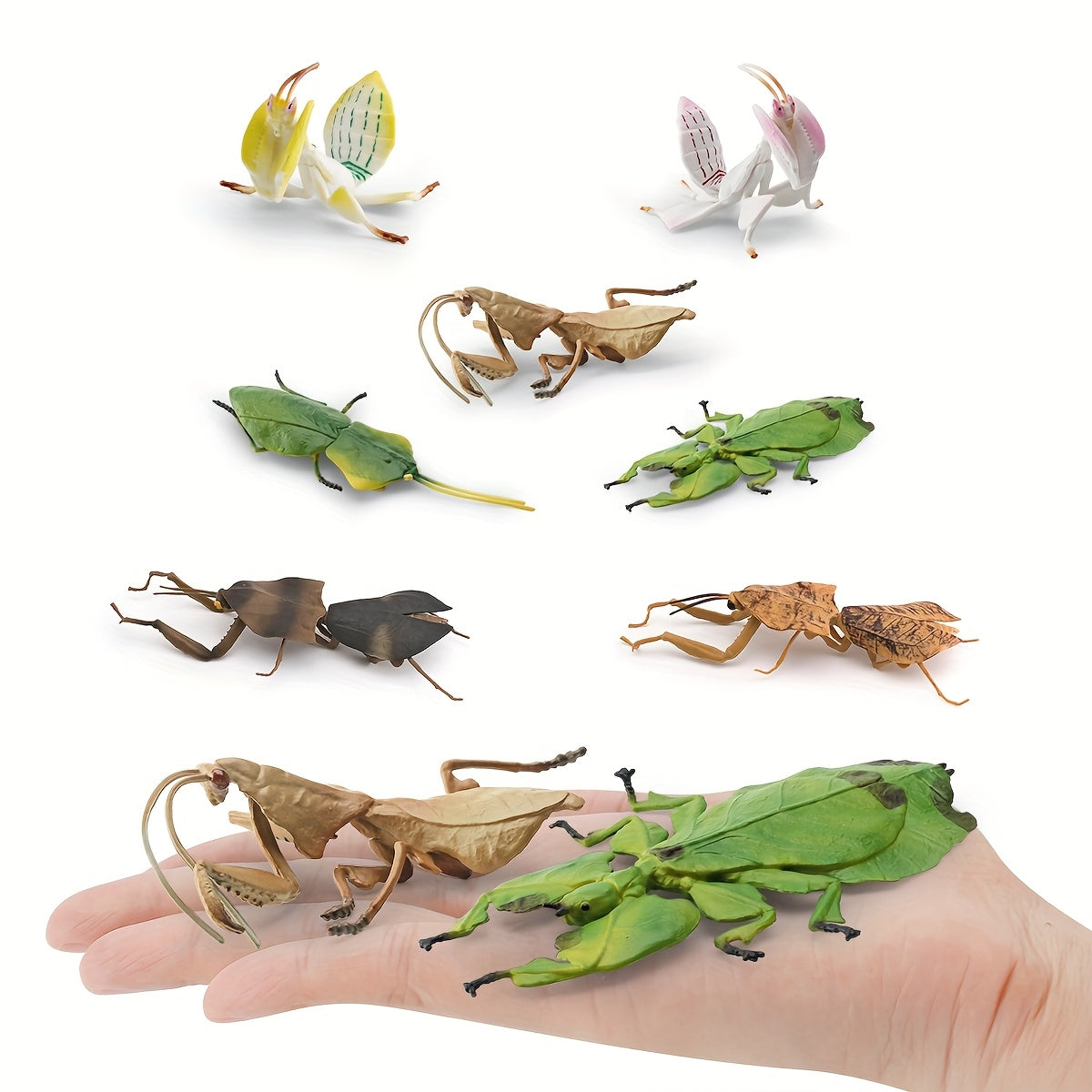 Insect Animal Models Educational Toys