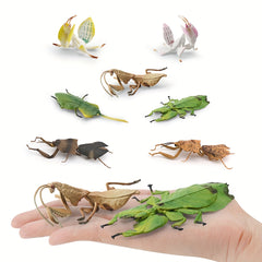 Insect Animal Models Educational Toys