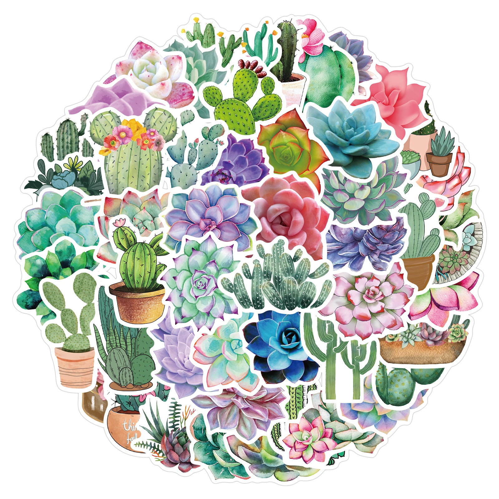 50 Adorable Succulent Cactus Waterproof Stickers for Phone Cases & Notebooks