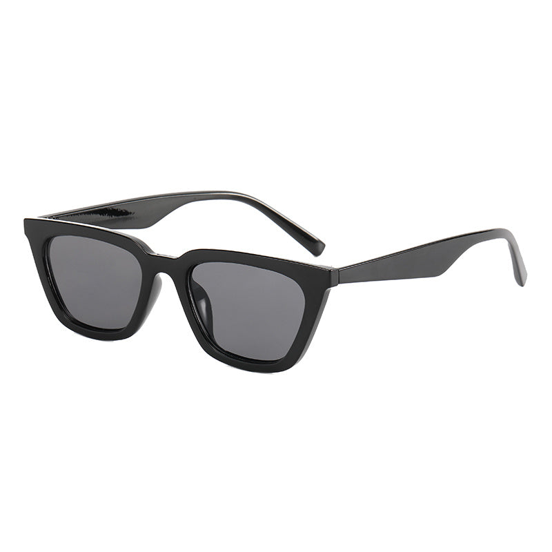 Men's Small Frame Sunglasses Ink Glasses With Zipper Box