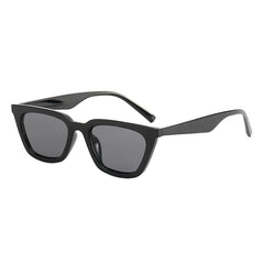 Men's Small Frame Sunglasses Ink Glasses With Zipper Box