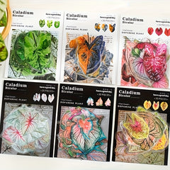 30pcs Autumn Leaves Sticker Pack DIY Plant Decoration Collage