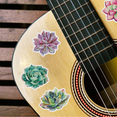 50 Adorable Succulent Cactus Waterproof Stickers for Phone Cases & Notebooks