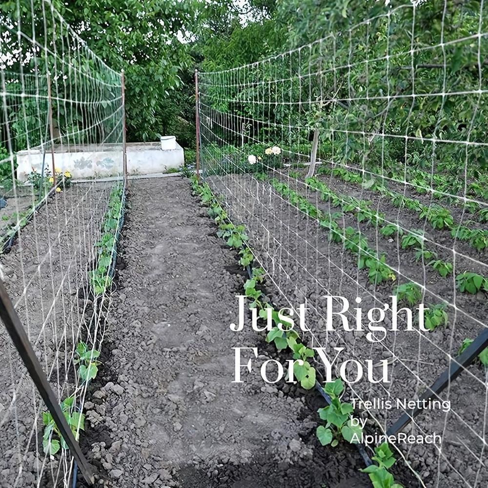 Polyester Pergola Net for Climbing Plants