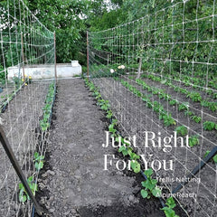 Polyester Pergola Net for Climbing Plants
