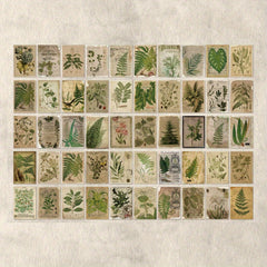 100pcs Retro Plants Flower Decoration Collage Journal
