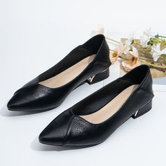 Women's Chunky Low Heel Slip On Pointed Toe Shoes Lightweight