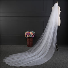Sheer Lace Wedding Head Veil with Trim Long Train Bridal Veil for Women