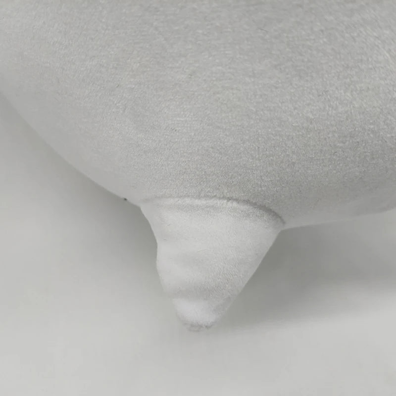 img_2930836