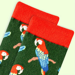 Parrot Pattern Socks & Funny Mid Tube Socks Women's Stockings