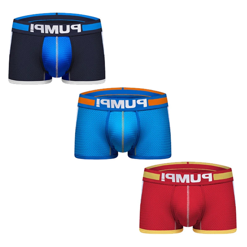 img_2596256