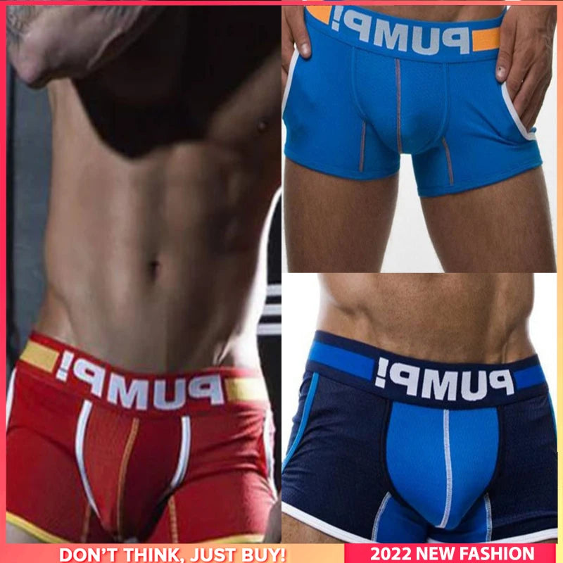 img_2578164