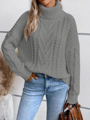 Solid Turtle Neck Pullover Sweater Long Sleeve Casual Winter Women's Clothing