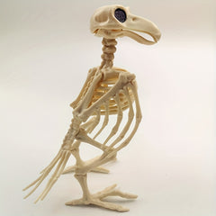 Halloween Crow Skeleton Venue Props