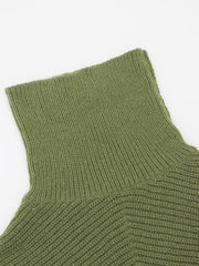 Solid Turtle Neck Pullover Sweater For Women
