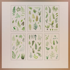 6pcs Nature Book Series Scrapbook Sticker Pack Plant Flower Retro Paper