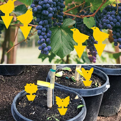 5pcs Yellow Sticky Insect Board Fly Trap for Green Plants
