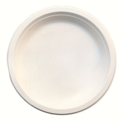 10pcs Bagasse Plates Eco Friendly Biodegradable Paper Plates
