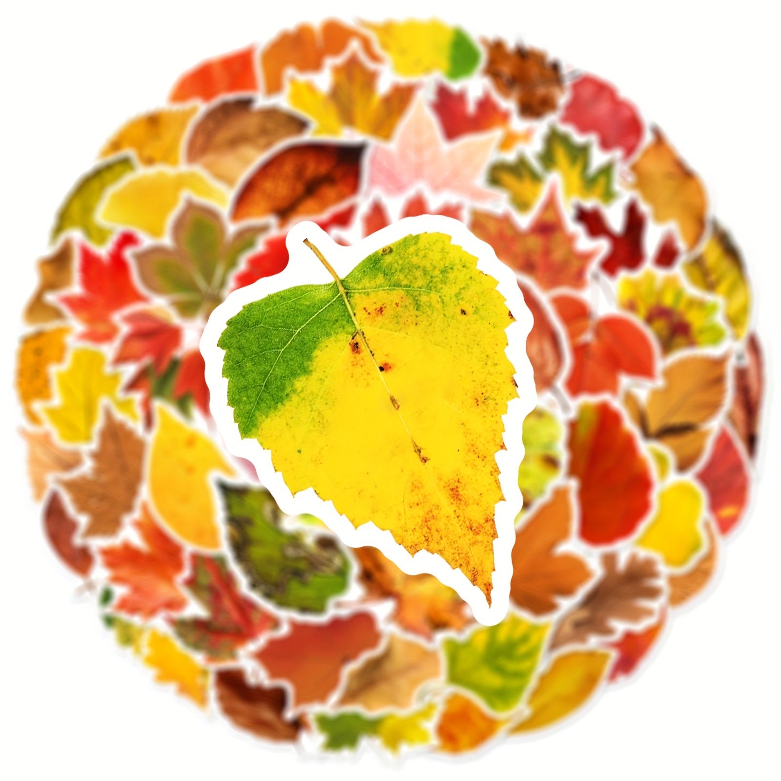 60pcs Leaf Graffiti Stickers DIY Pack for Guitar Skateboard Phone