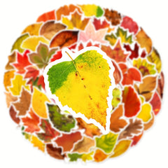 60pcs Leaf Graffiti Stickers DIY Pack for Guitar Skateboard Phone