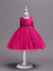 Mesh Puffy Princess Dresses for Girls