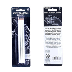 2pcs Sketch Charcoal Pen Drawing Pencil for Painting Sketch Willow Charcoal