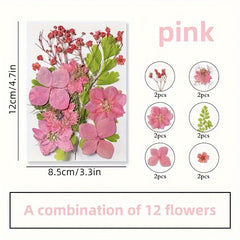 12pcs Resin Fillers Dry Flowers Natural Plant Embossed Dry Flowers Collection