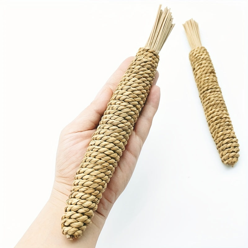 Chew Toys for Small Pets Water Grass Radish