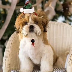 2pcs Christmas Pet Dog Hats Dog Party Caps