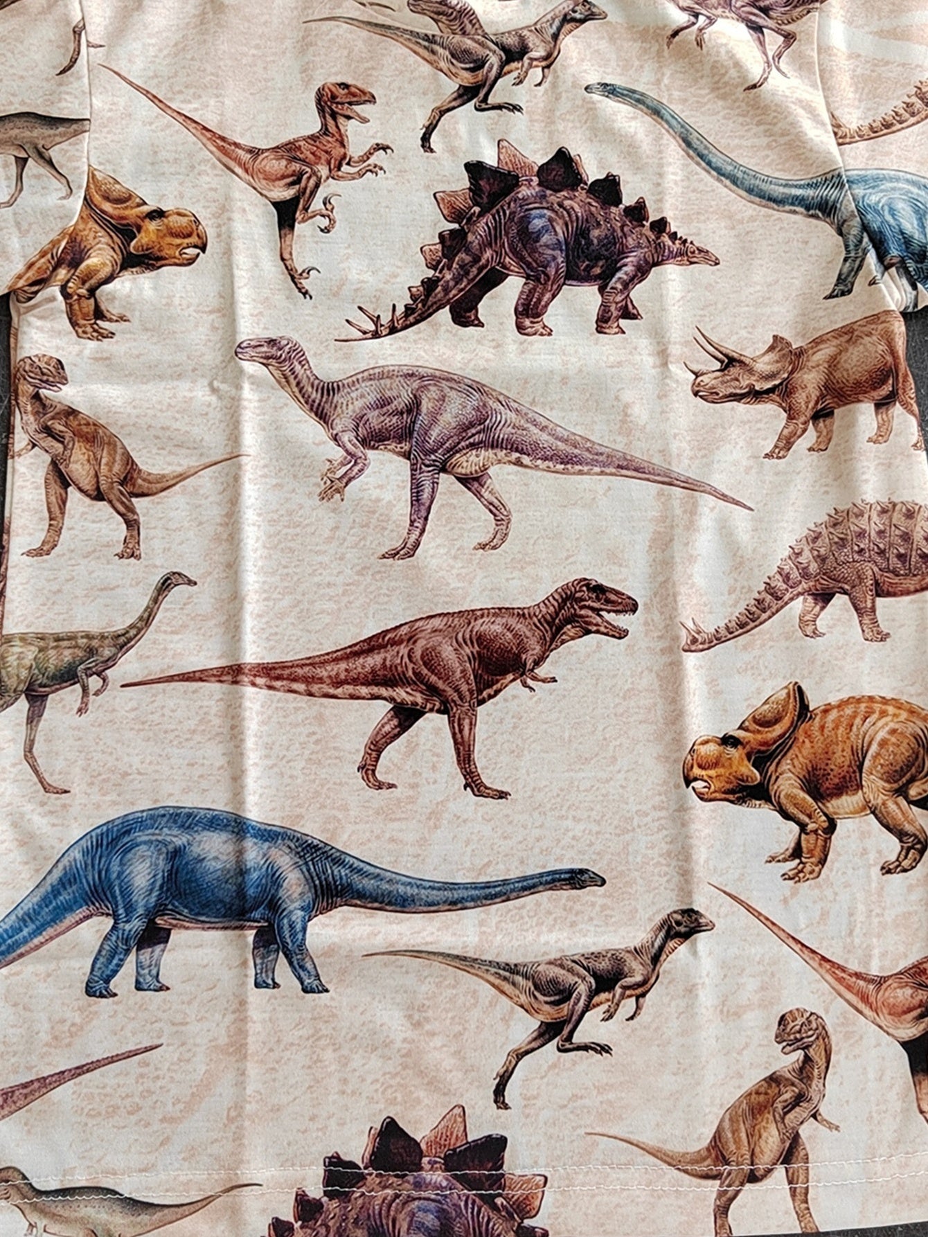Kids Dinosaur Graphic T shirt Short Sleeve Crew Neck