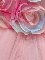Girls Princess Dress Flowers Mesh Tutu Dress Performance Dress
