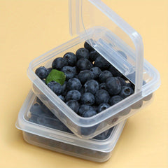 2pcs Transparent Food Storage Box Plastic Refrigerator