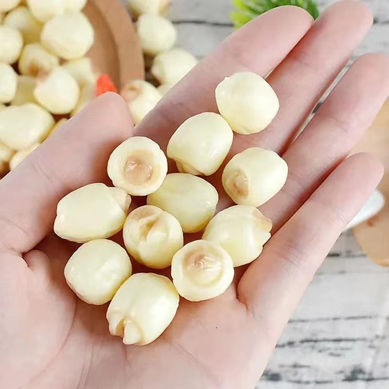10pcs Realistic Lotus Seed Models Mixed Colors for Window Displays