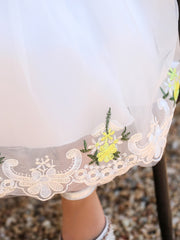 Baby Girl Mesh Embroidered Princess Dress