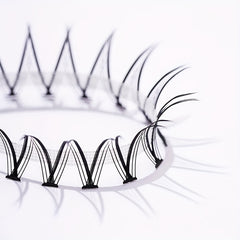 120pcs Mixed Fairy Style V Shape Cluster Lashes 6 Lengths in One Tray