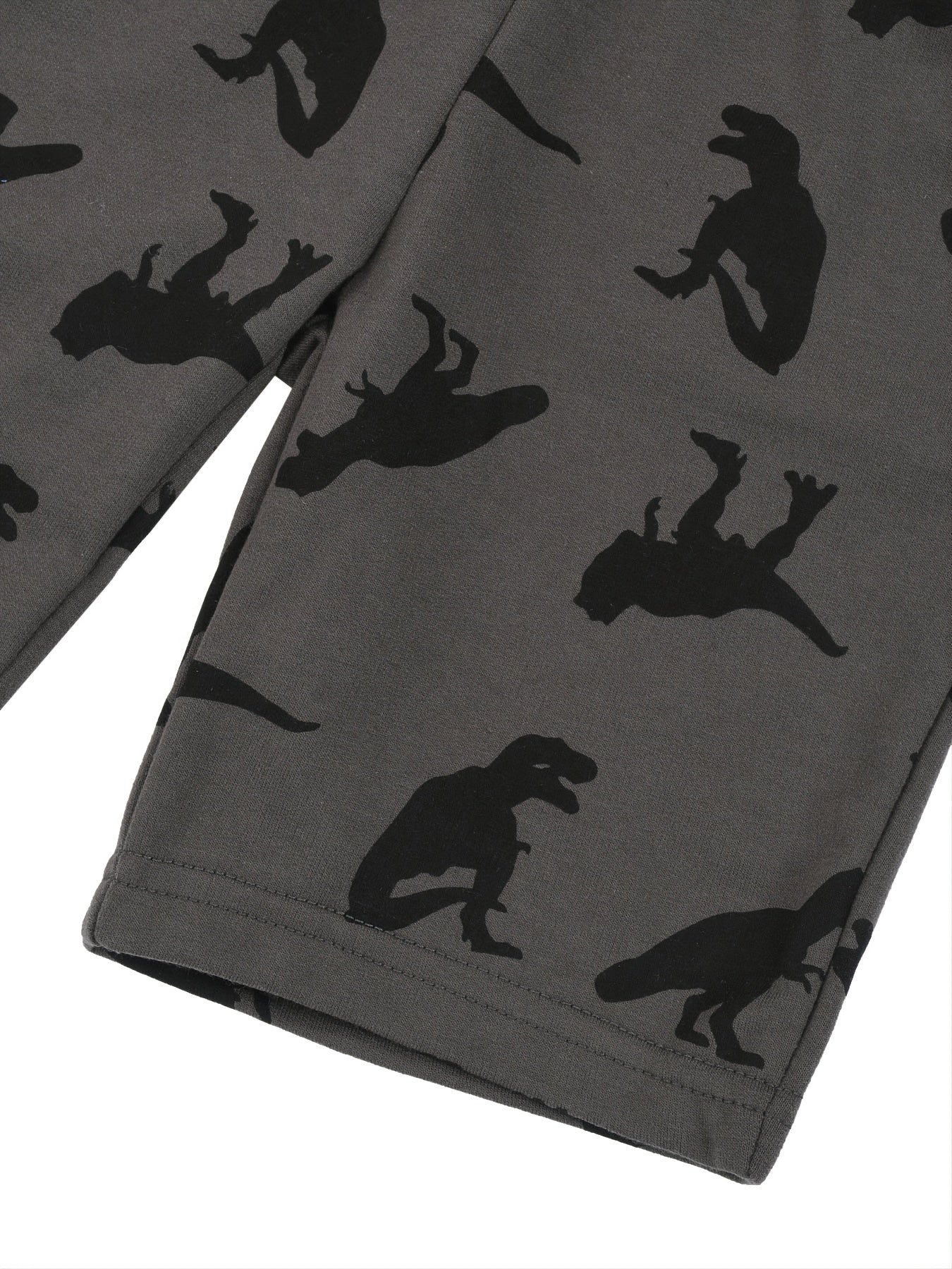 Boys Dinosaur Print Elastic Waist Casual Loose Pockets Shorts